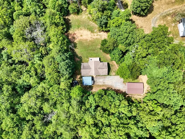 a view of a city with lush green forest