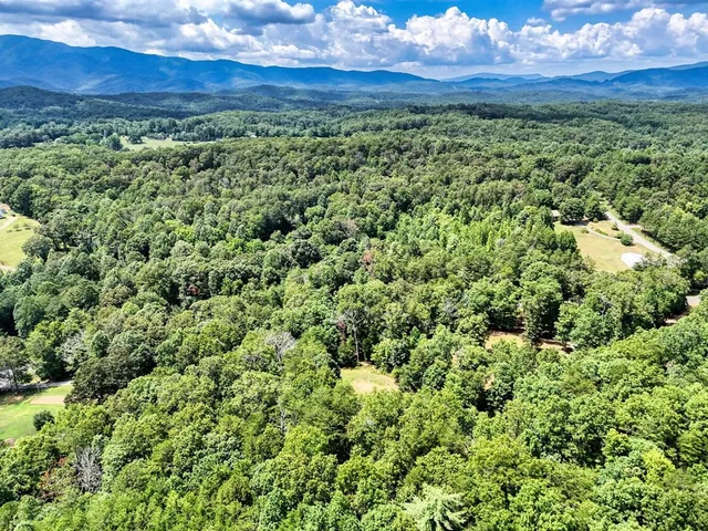 a view of a lots of trees and bushes