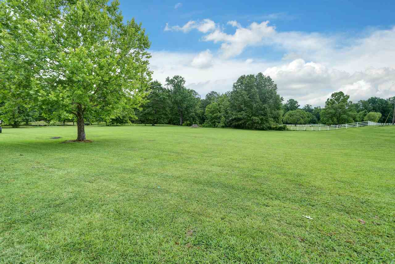149 Lakeview Road Brandon, MS 39047 - Photo 8 of 41 Photo 8