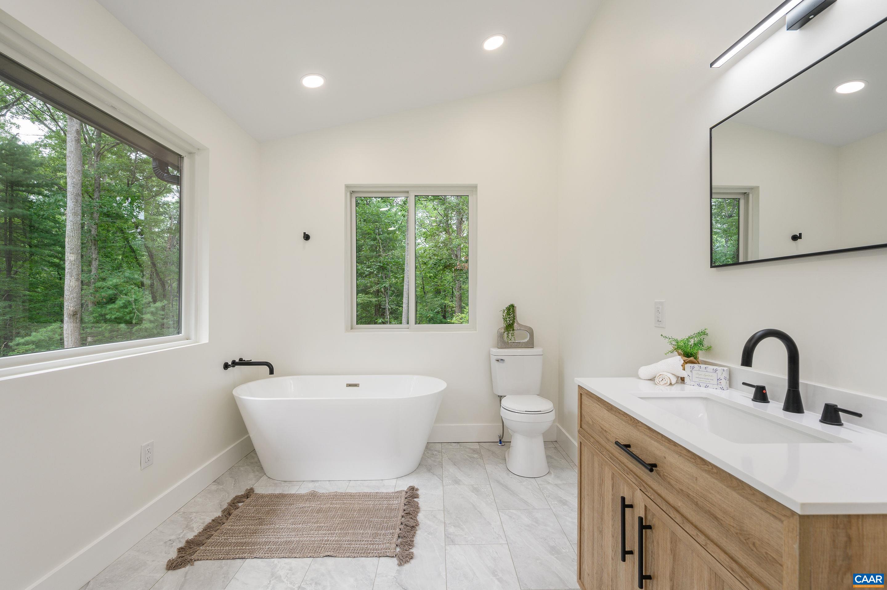 960 Broad Axe Road Charlottesville, VA 22903 - Photo 27 of 39 a bathroom with a sink toilet and a mirror