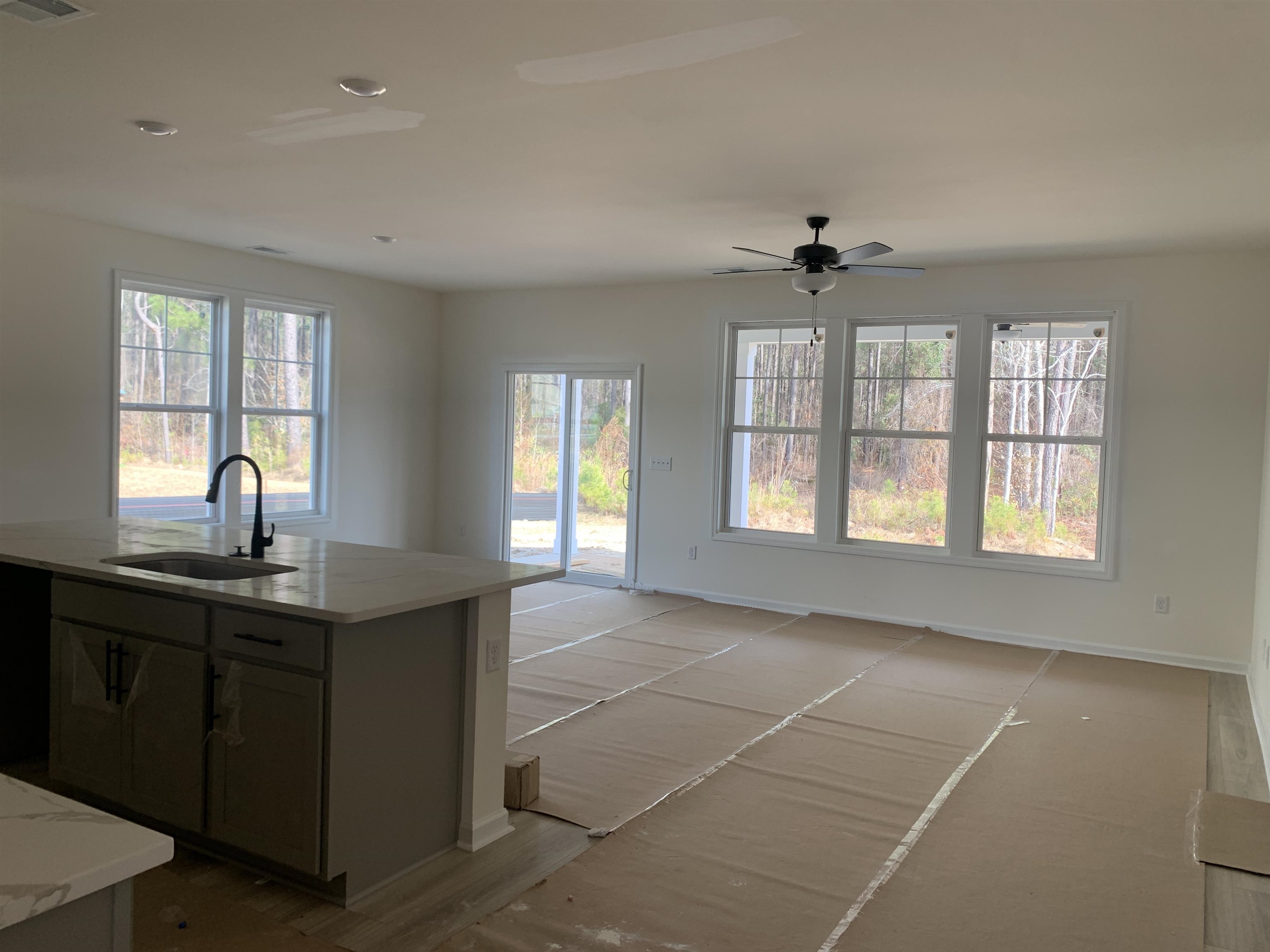 268 Palmetto Sand Loop Conway, SC 29527 - Photo 2 of 34