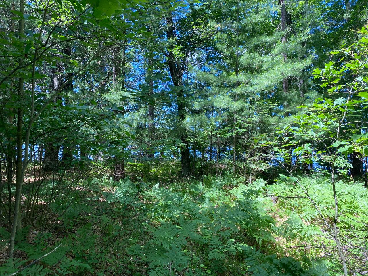 2817 Prairie Lake Road Tomahawk, WI 54487 - Photo 10 of 20 Gallery Image 10