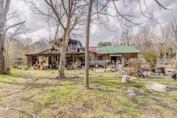 a view of a yard with street