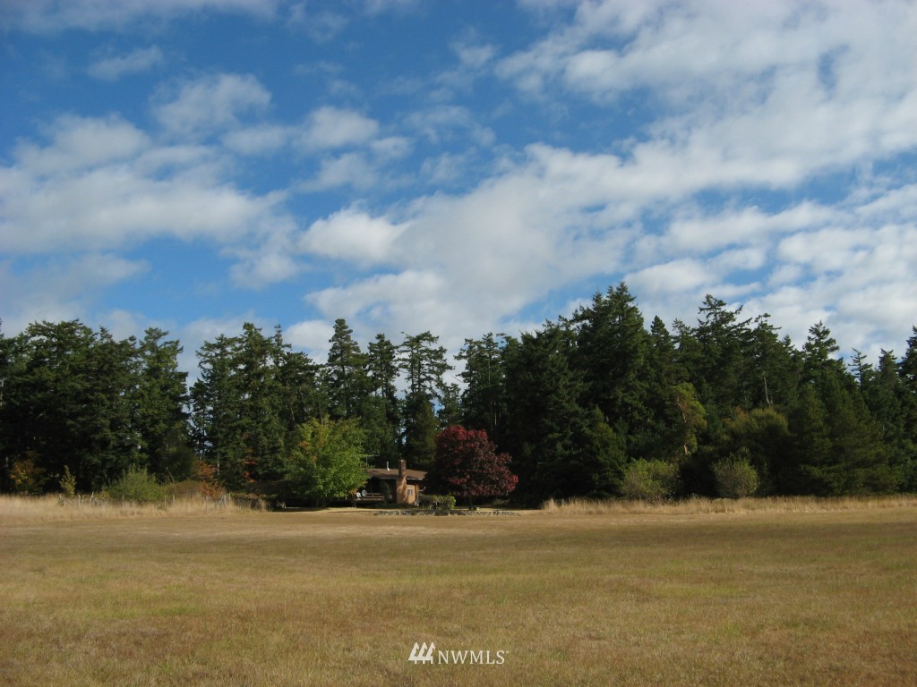 628 Davis Bay Road Lopez Island, WA 98261 - Photo 12 of 14