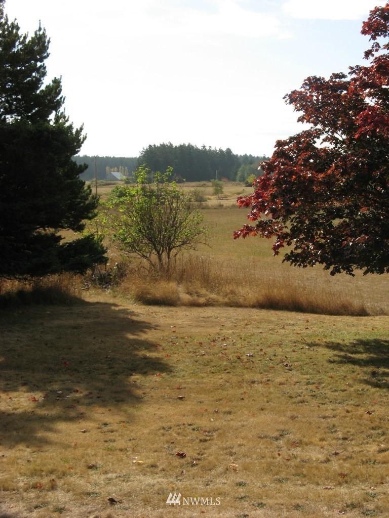 628 Davis Bay Road Lopez Island, WA 98261 - Photo 13 of 14