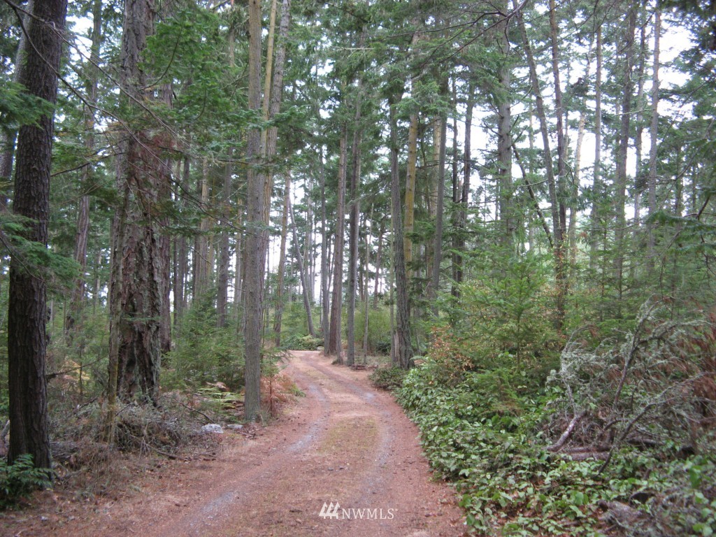 628 Davis Bay Road Lopez Island, WA 98261 - Photo 14 of 14