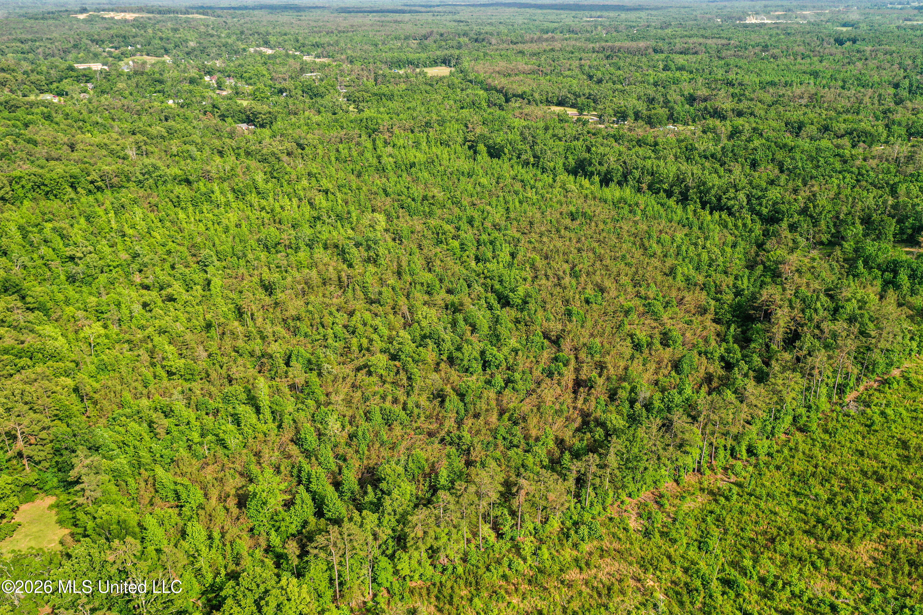 816 County Road Blue Mountain, MS 38610 - Photo 1 of 21 DJI_0742