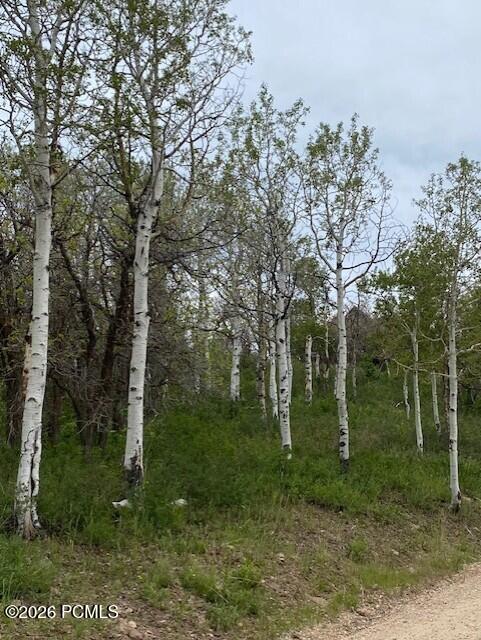 2604 South Forest Meadow Road Coalville, UT 84017 - Photo 8 of 28