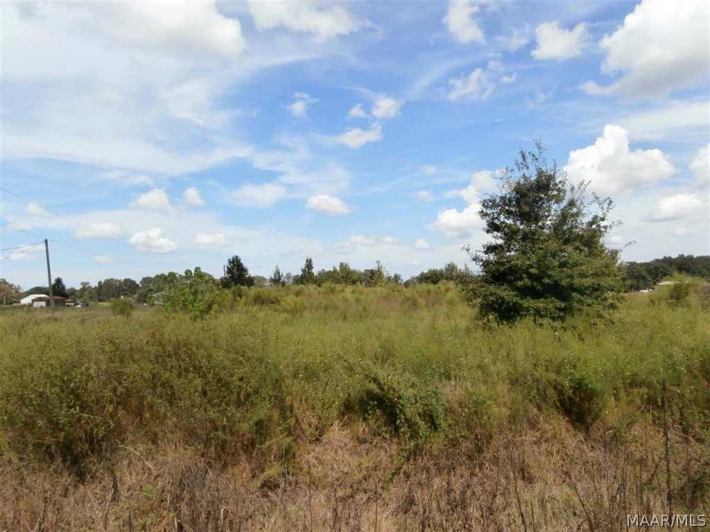452 Hartzog Road Slocomb, AL 36375 - Photo 11 of 14 Gallery Image 11
