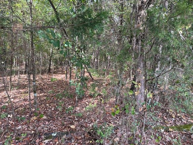 0 Glendale Road Morris Chapel, TN 38361 - Photo 11 of 21 a view of a forest with trees