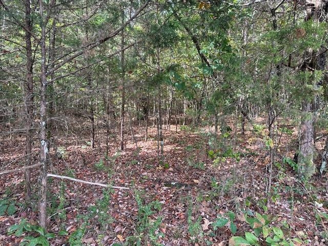 0 Glendale Road Morris Chapel, TN 38361 - Photo 12 of 21 a view of outdoor space and garden