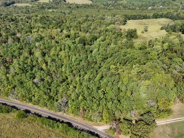 0 Glendale Road Morris Chapel, TN 38361 - Photo 17 of 21 a view of a forest from a window