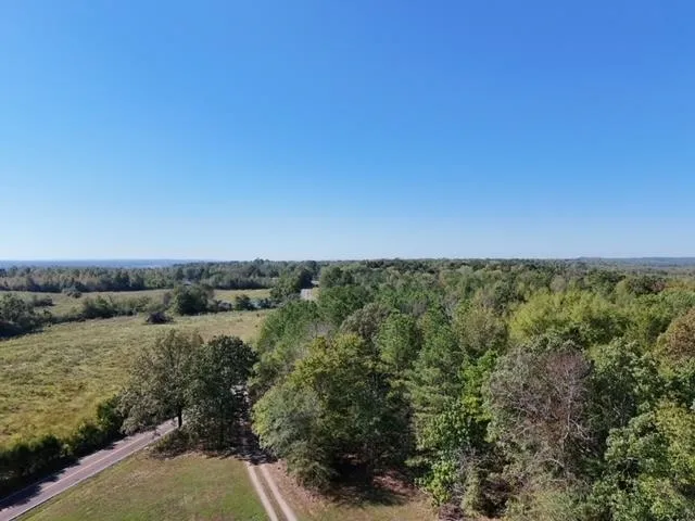 a view of a green field