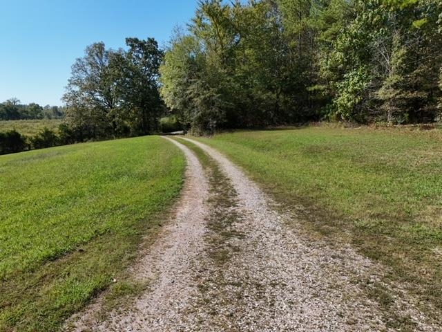 0 Glendale Road Morris Chapel, TN 38361 - Photo 21 of 21 a view of a field with trees in the background