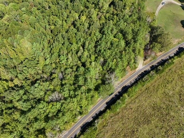0 Glendale Road Morris Chapel, TN 38361 - Photo 3 of 21 a view of a garden with a plant