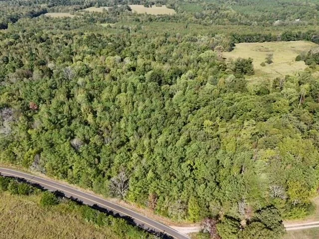 a view of a forest from a window
