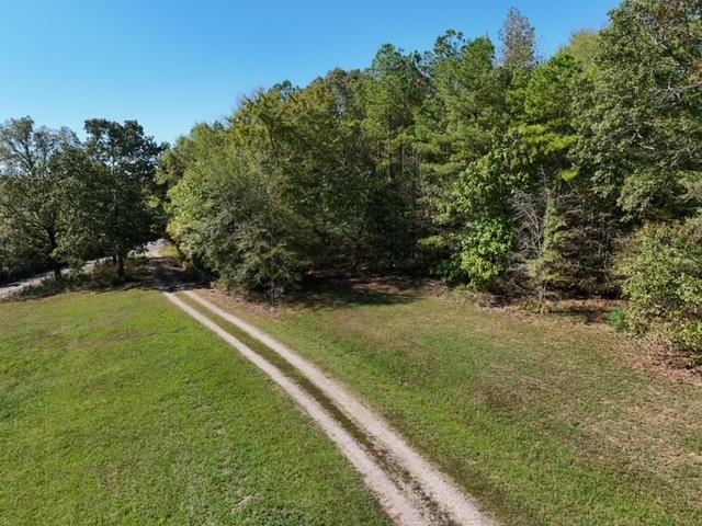 0 Glendale Road Morris Chapel, TN 38361 - Photo 7 of 21 a yard with a house in the background