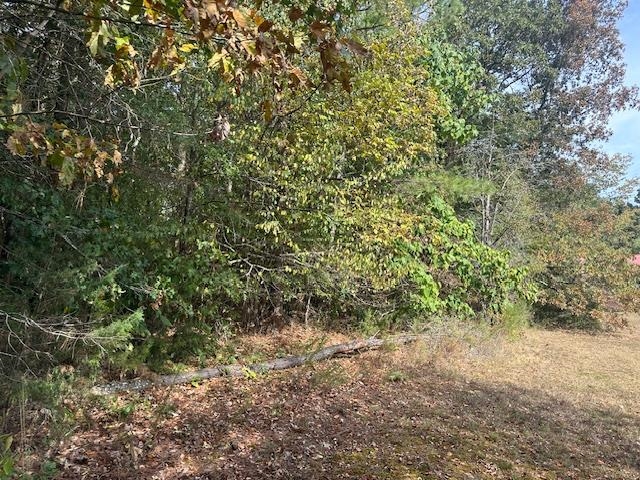 0 Glendale Road Morris Chapel, TN 38361 - Photo 10 of 21 a view of a forest with a tree