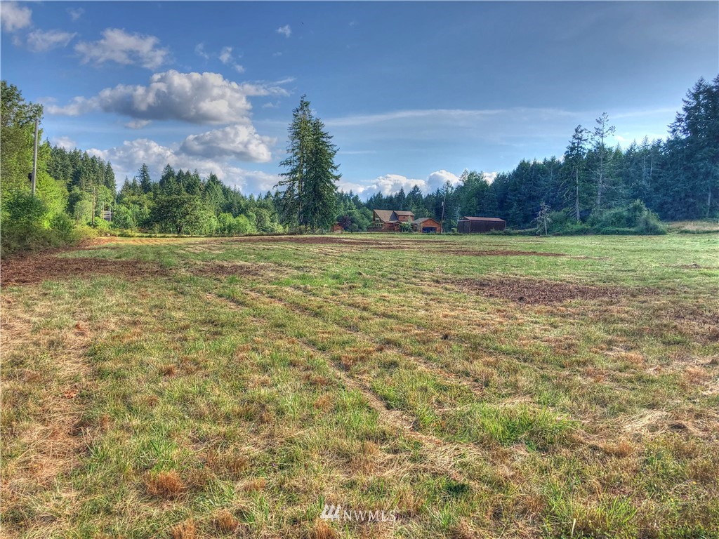 1431 East Benson Loop Road Shelton, WA 98584 - Photo 17 of 19 Gallery Image 17