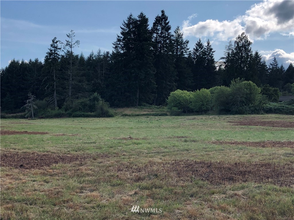 1431 East Benson Loop Road Shelton, WA 98584 - Photo 18 of 19 Gallery Image 18