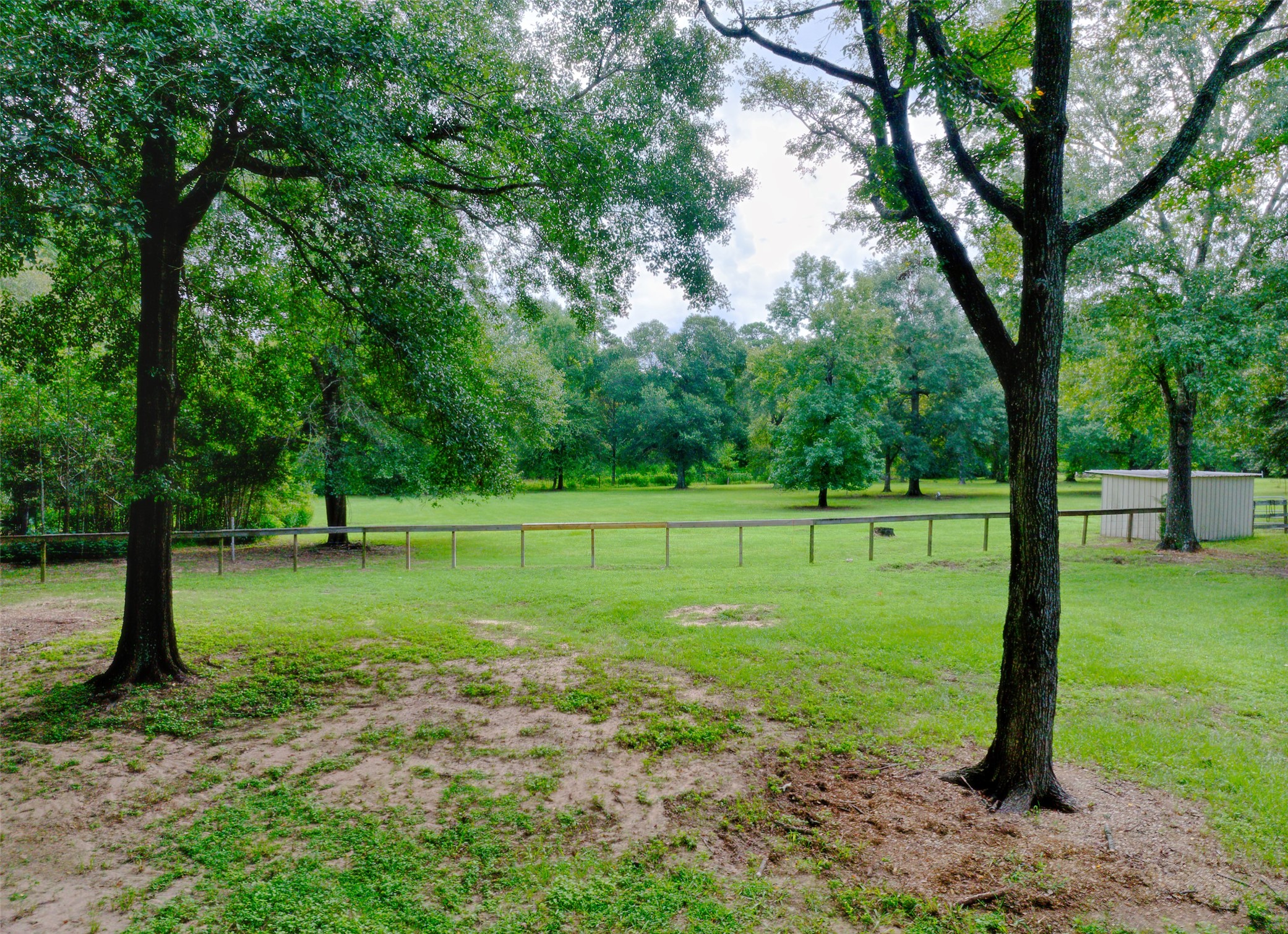 3131 Sapp Road Conroe, TX 77304 - Photo 36 of 48 a view of a park