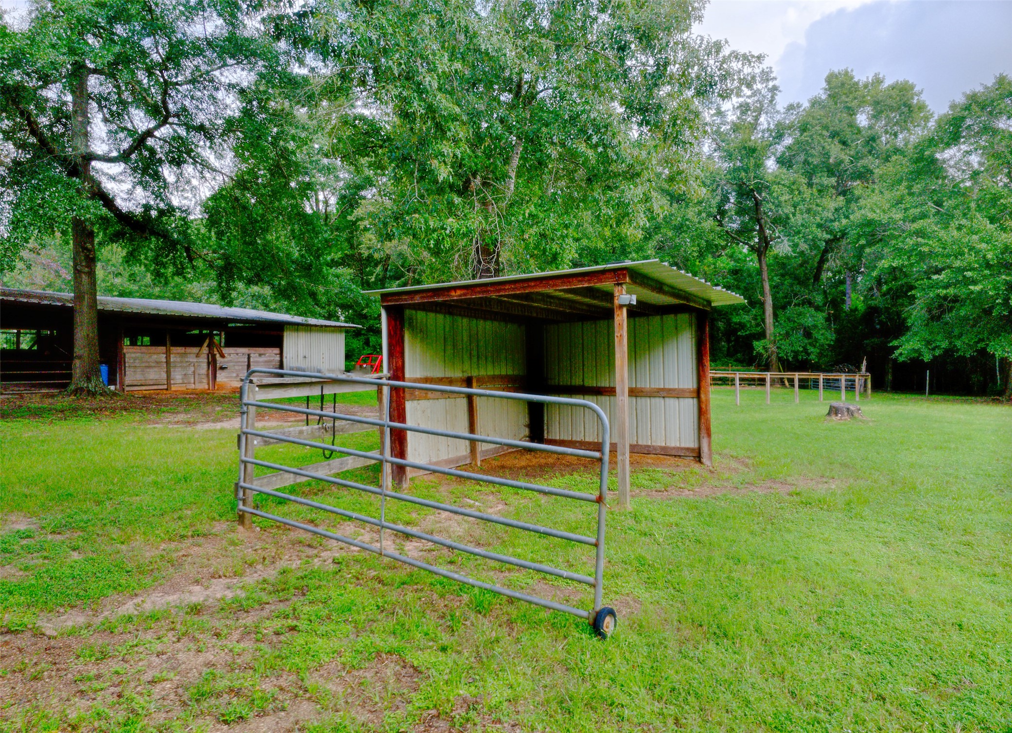 3131 Sapp Road Conroe, TX 77304 - Photo 43 of 48 a view of a house with a backyard