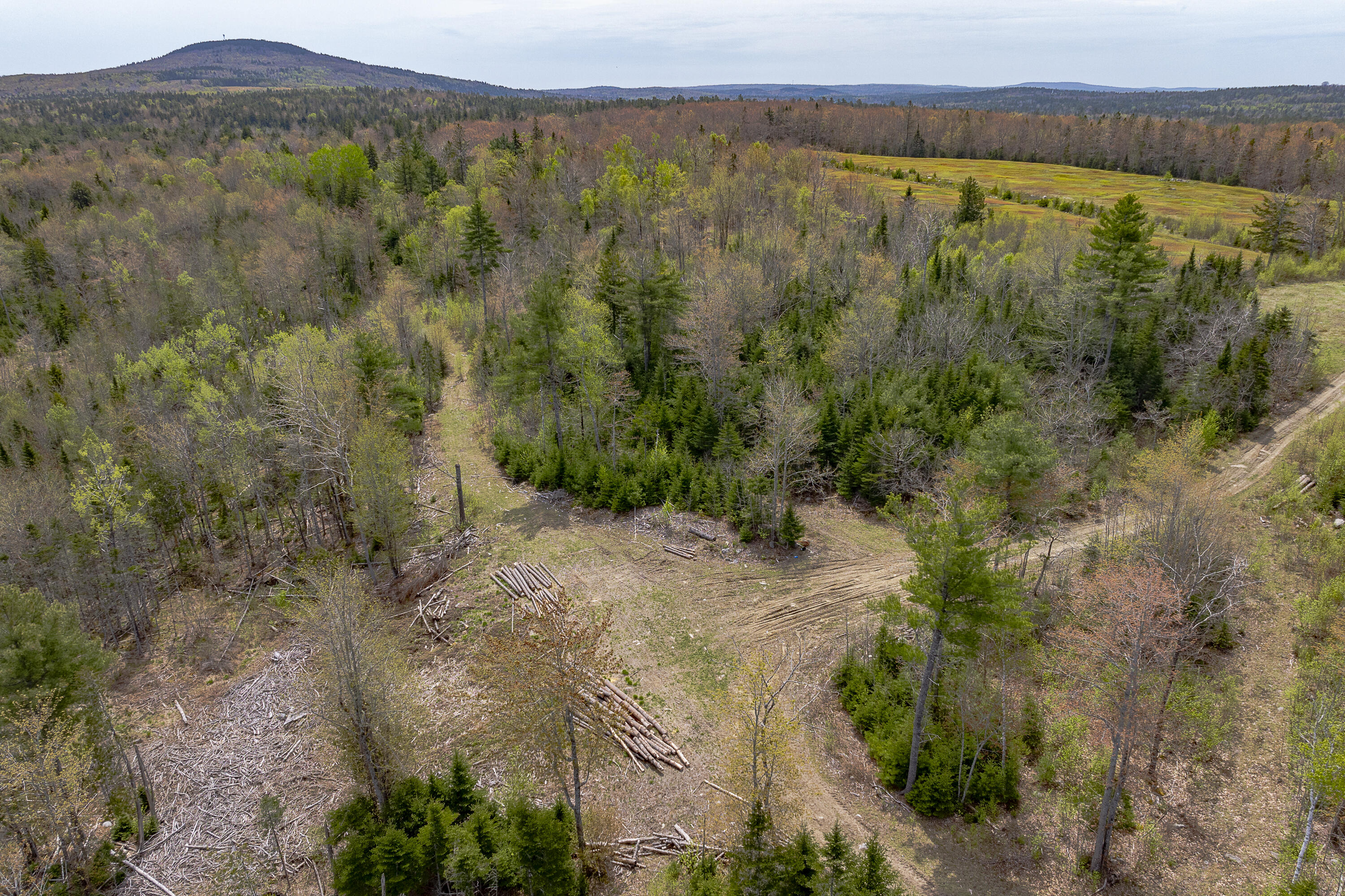 475 A Range Road Blue Hill, ME 04614 - Photo 16 of 24 26-475 Range Road HiRes-DTP