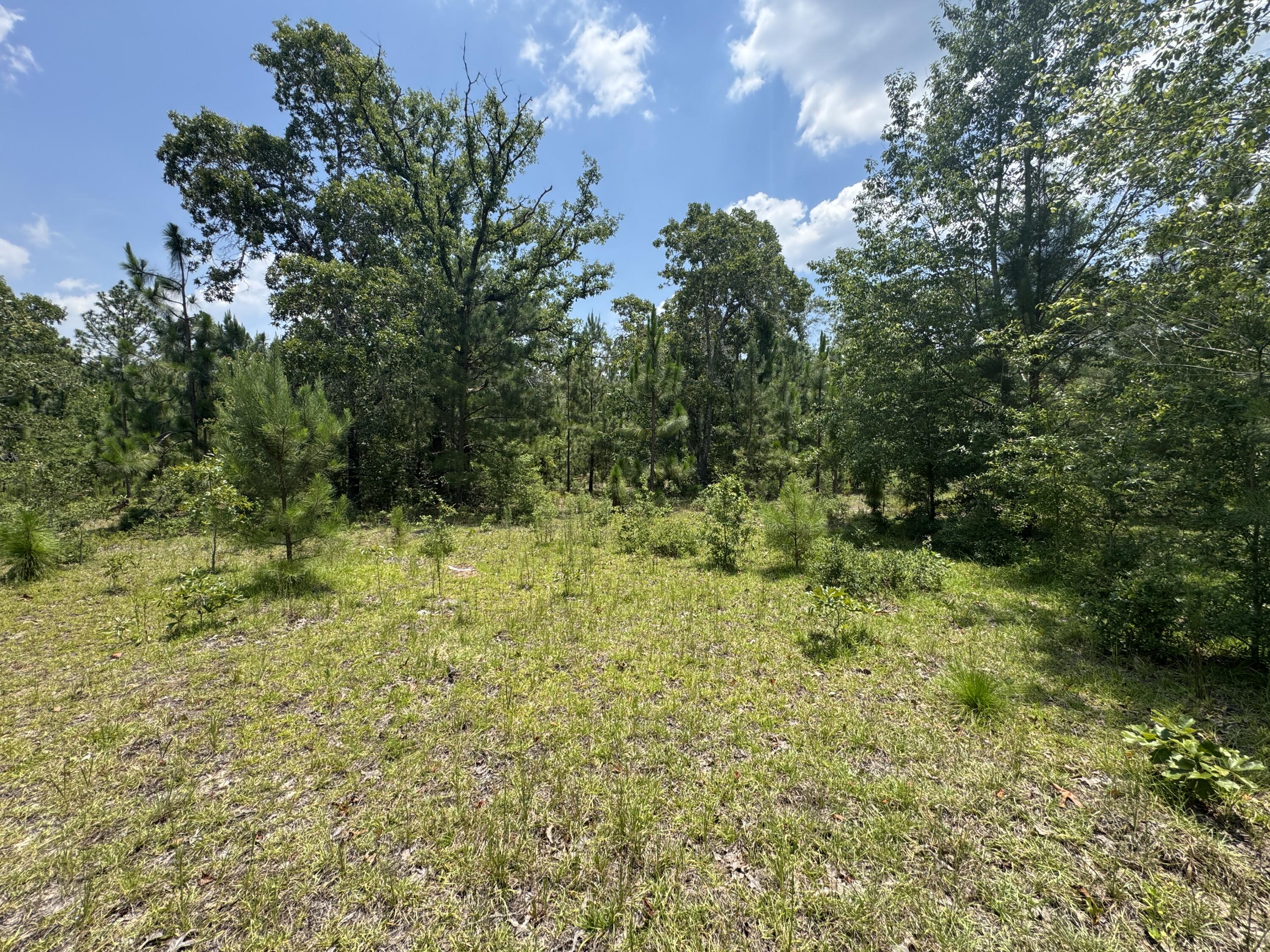 174 Hard Luck Lane Windsor, SC 29856 - Photo 18 of 27