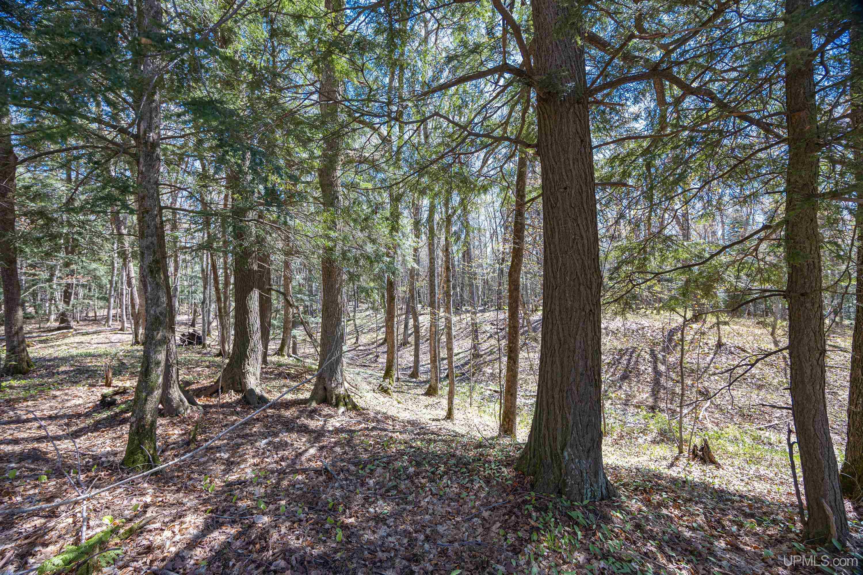 49190 Upper Freda Shores Road Atlantic Mine, MI 49905 - Photo 54 of 68