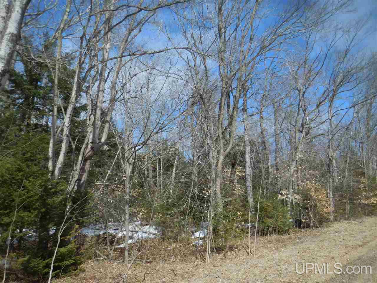 628 East Edge Road Germfask, MI 49836 - Photo 2 of 7 Gallery Image 2