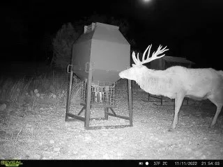 $535,000 | 0 Other Junction, Junction, TX 76849