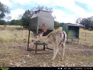 0 Other Junction Junction, TX 76849 - Photo 16 of 17 a view of a terrace with a table and chairs