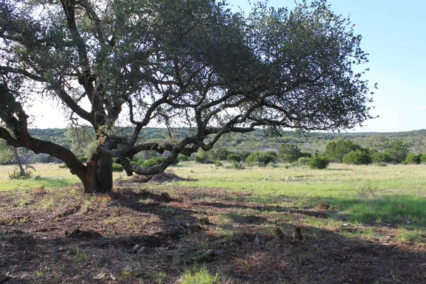 $535,000 | 0 Other Junction, Junction, TX 76849