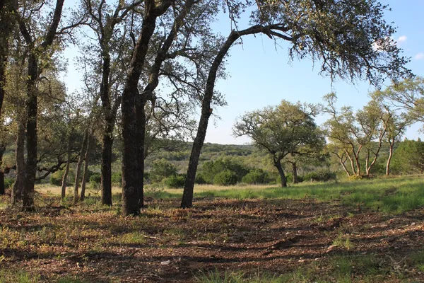 $535,000 | 0 Other Junction, Junction, TX 76849