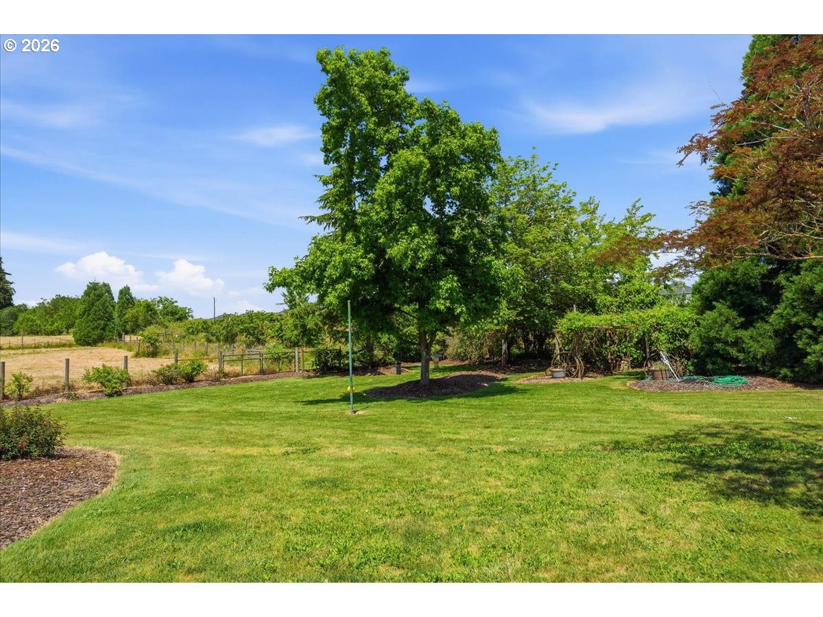 22800 Northwest 31st Avenue Ridgefield, WA 98642 - Photo 36 of 48 Backyard