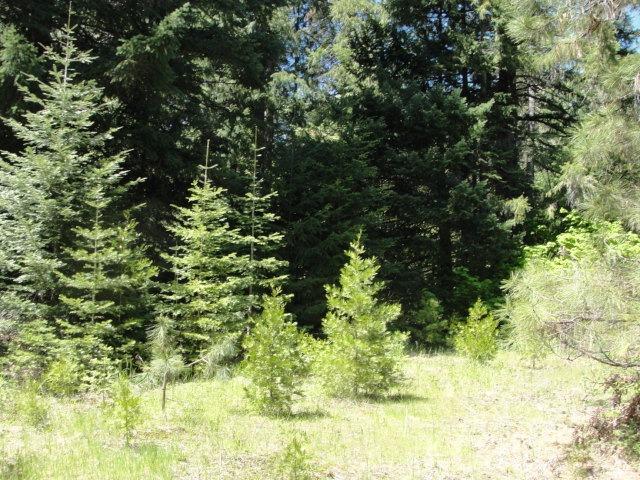 427 Red Blanket Road Prospect, OR 97536 - Photo 22 of 23 Additional Photo
