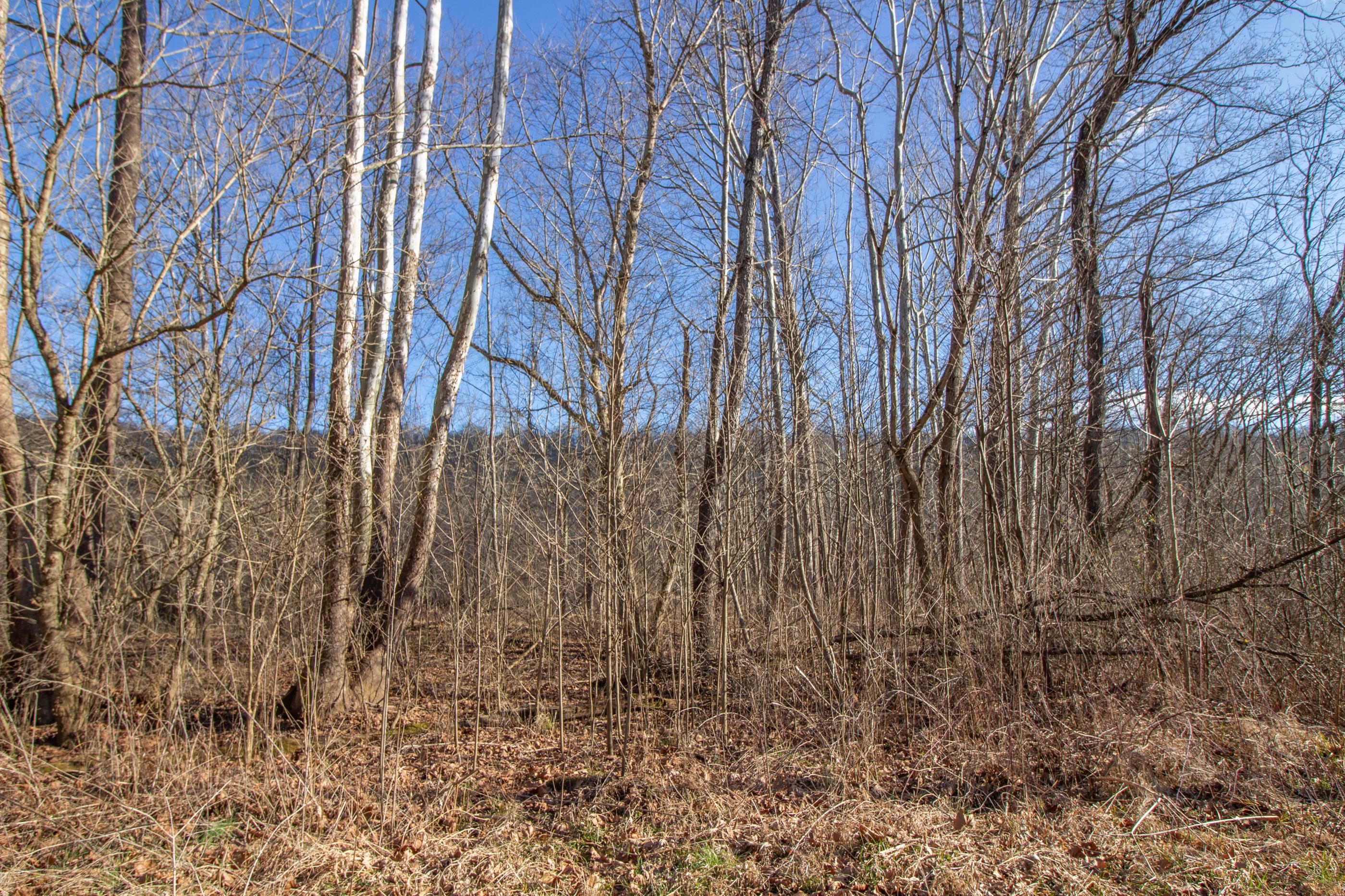 0 State Road McDermott, OH 45652 - Photo 11 of 13 Gallery Image 11