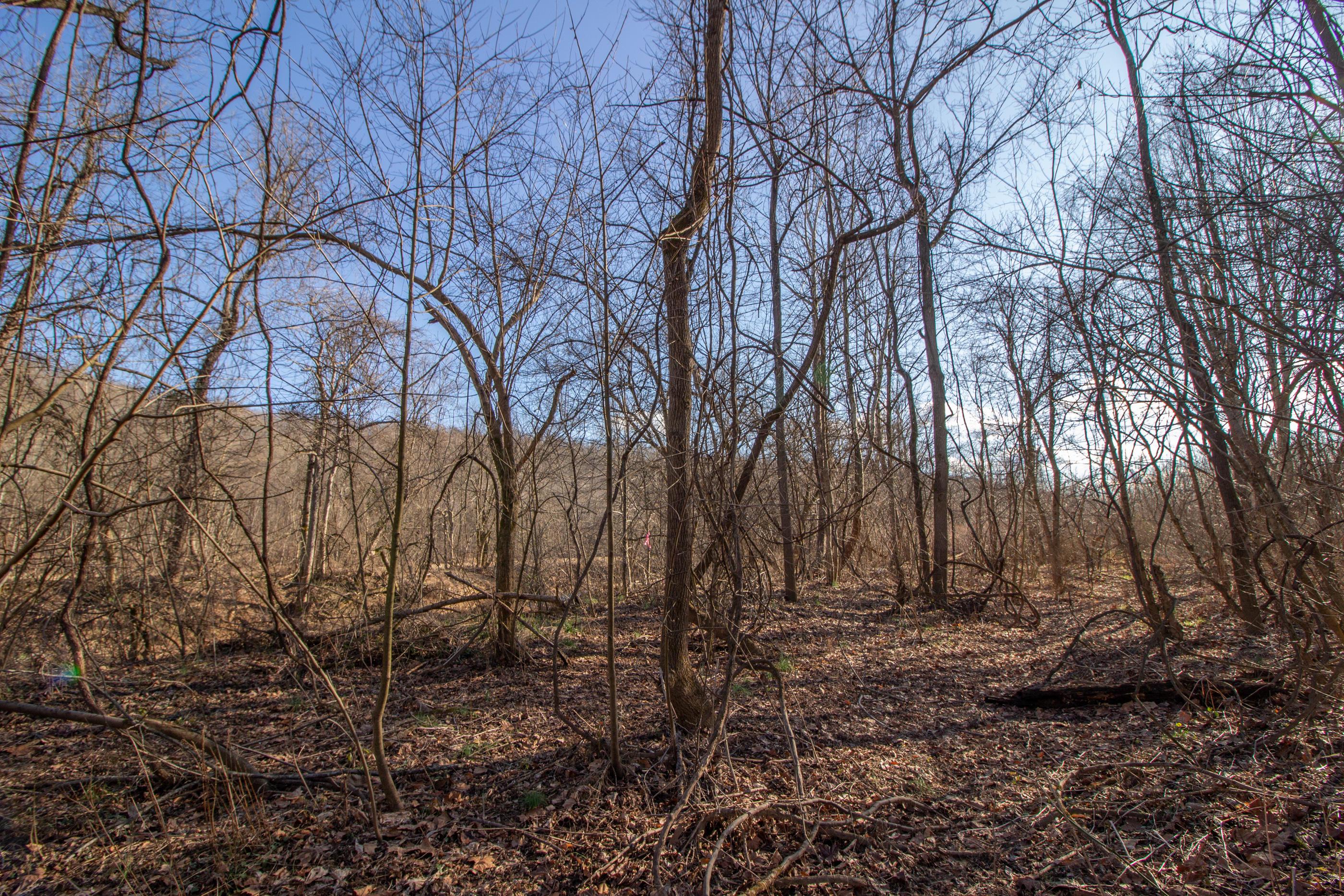 0 State Road McDermott, OH 45652 - Photo 3 of 13 Gallery Image 3