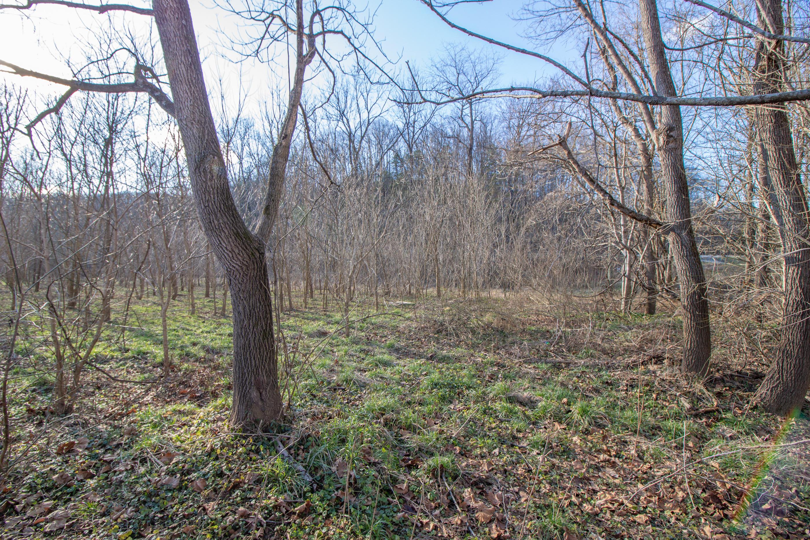 0 State Road McDermott, OH 45652 - Photo 5 of 13 Gallery Image 5