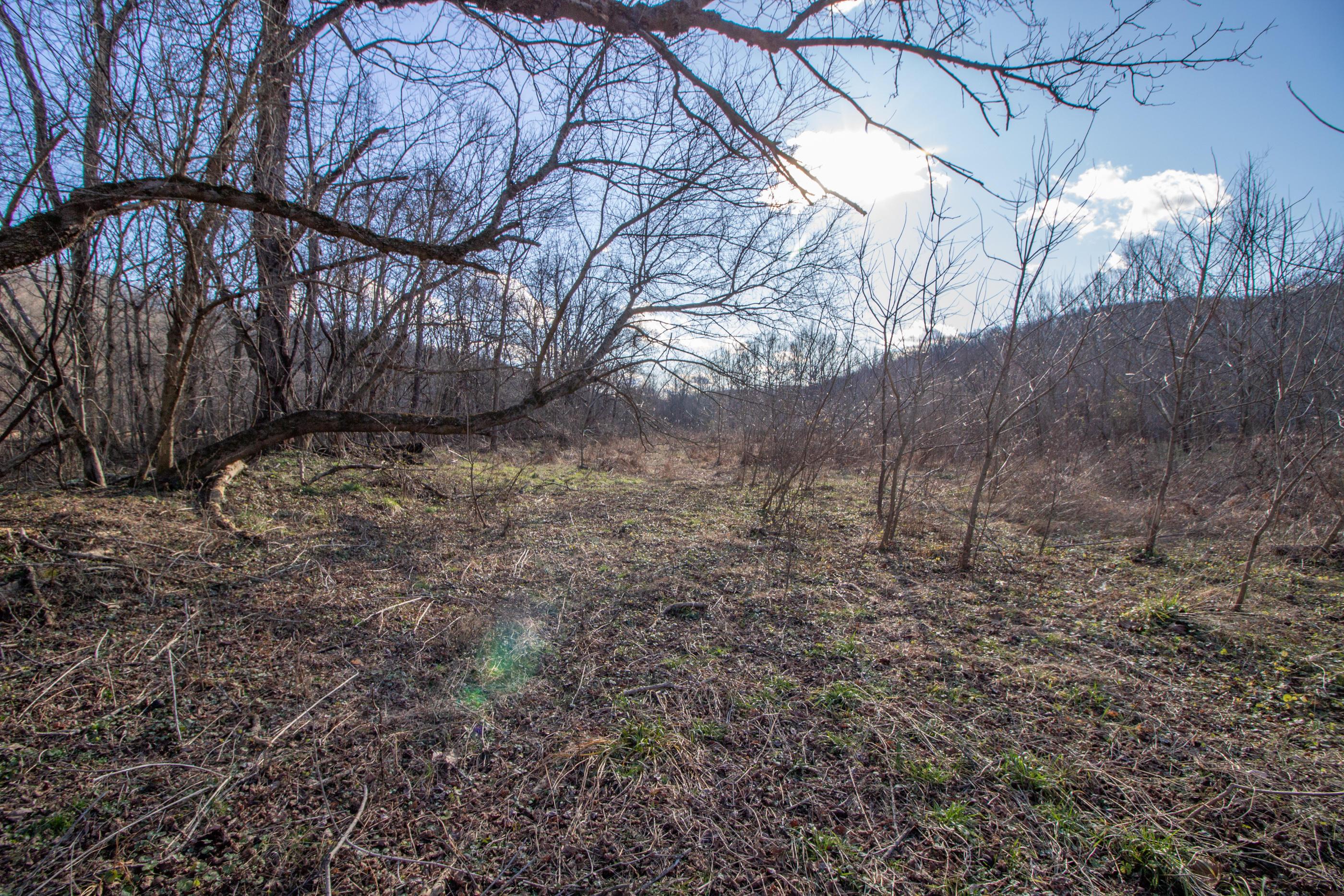 0 State Road McDermott, OH 45652 - Photo 6 of 13 Gallery Image 6