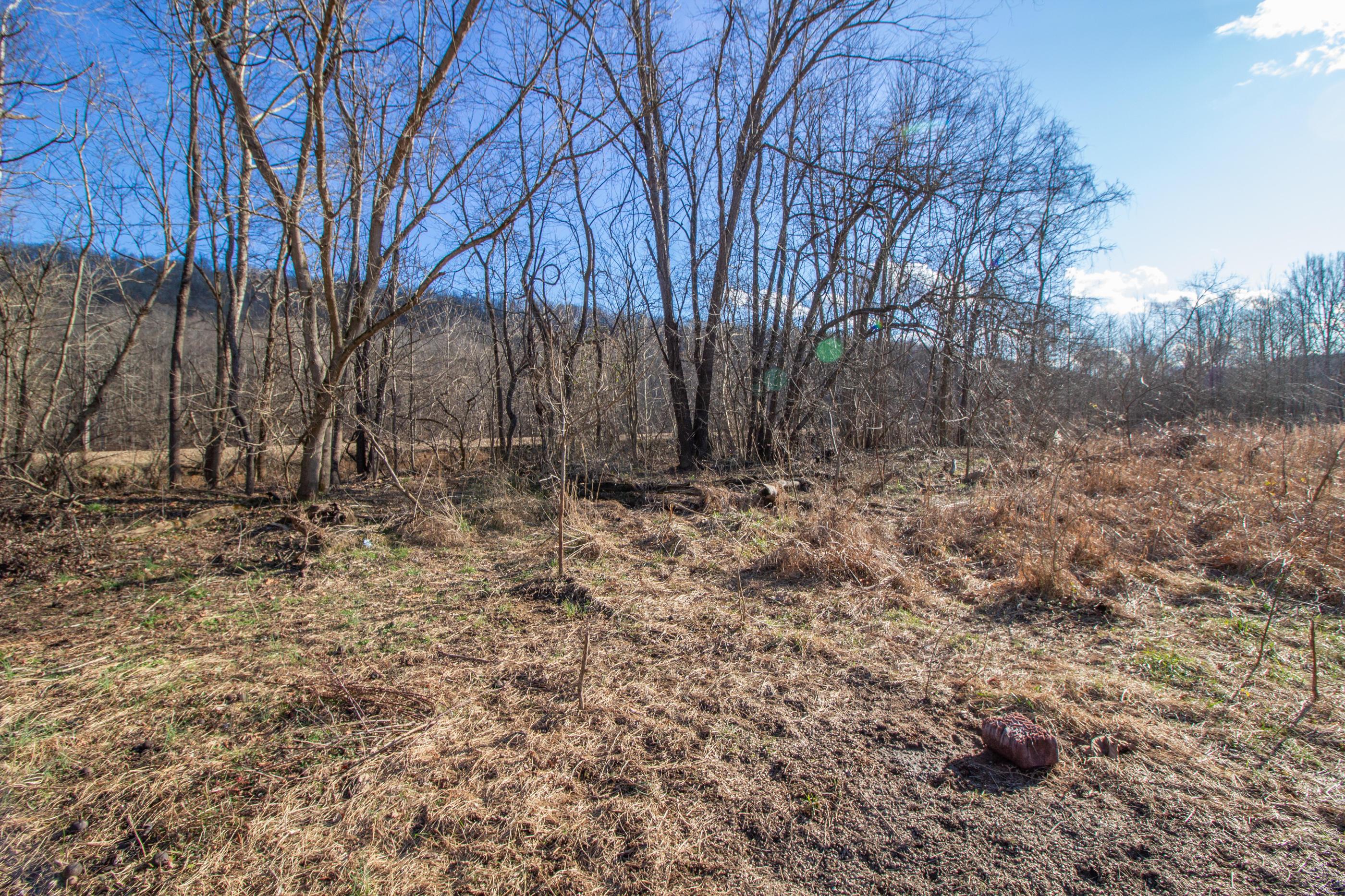 0 State Road McDermott, OH 45652 - Photo 7 of 13 Gallery Image 7