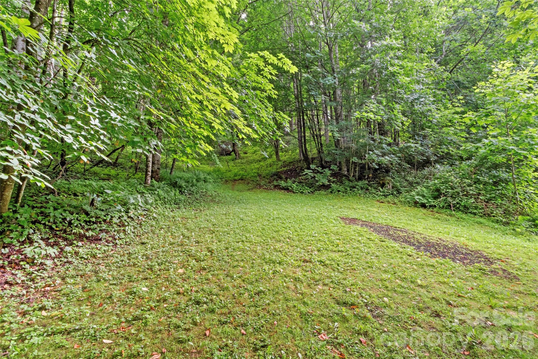 1210 Blevins Branch Road Bakersville, NC 28705 - Photo 26 of 35