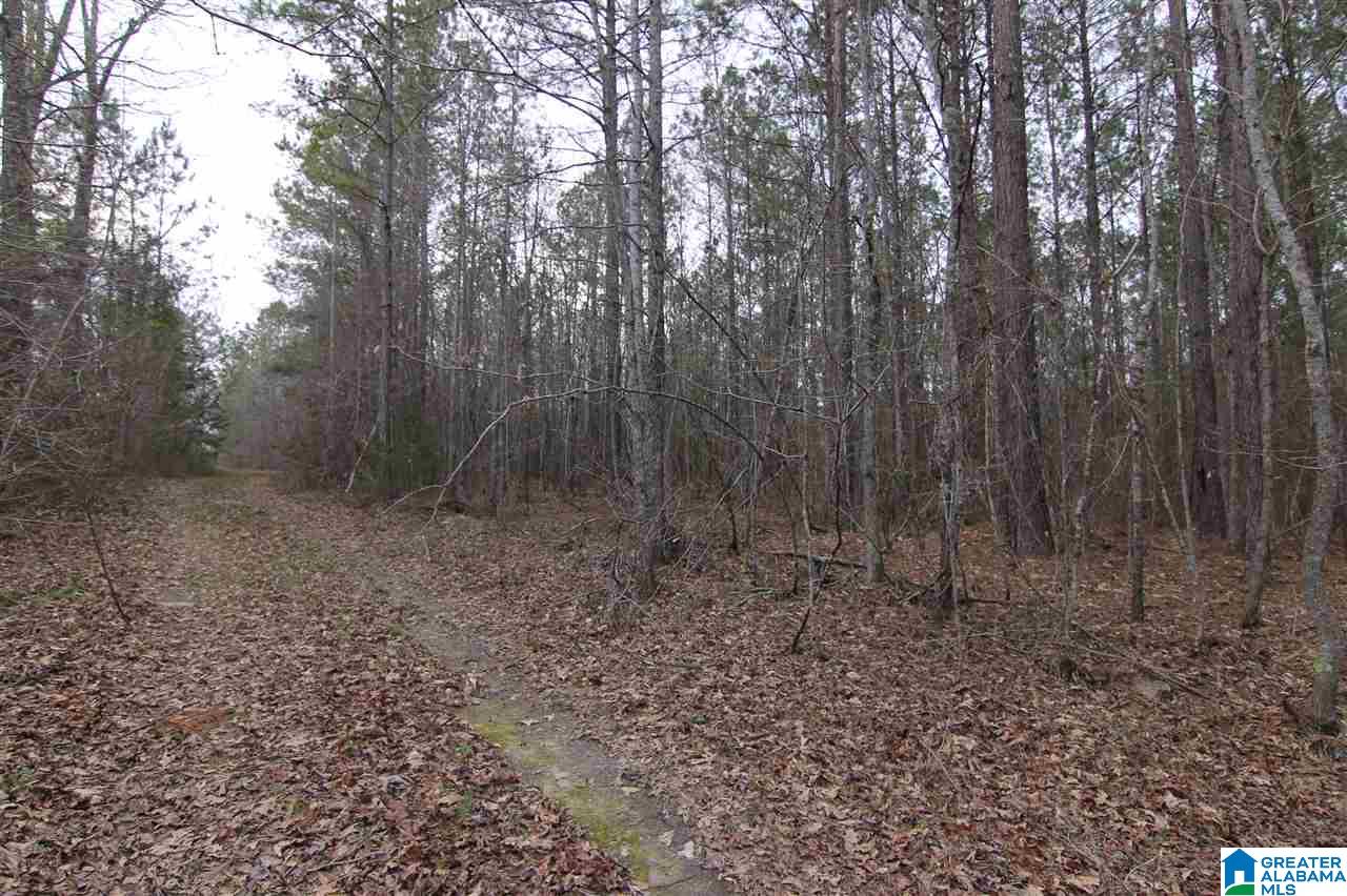 500 Lil Beaver Road, Unit 260 AC Daviston, AL 36256 - Photo 14 of 20
