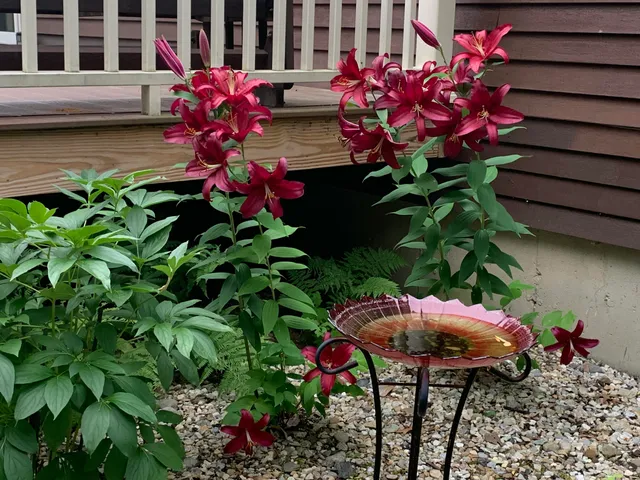 $525,000 | 937 Duck Pond Road, Westbrook, ME 04092