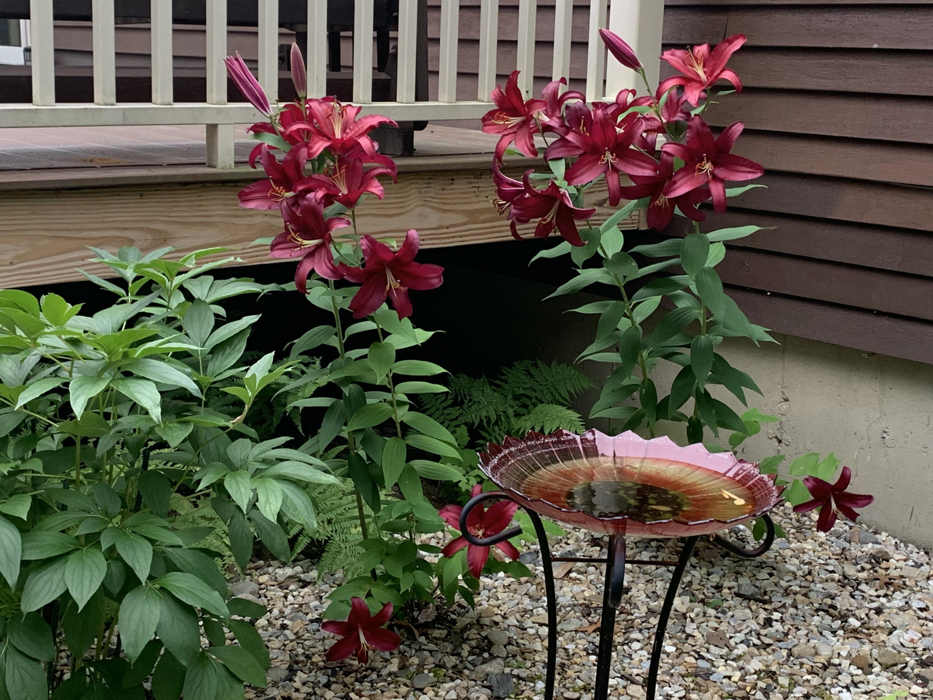 937 Duck Pond Road Westbrook, ME 04092 - Photo 31 of 32 IMG_2848