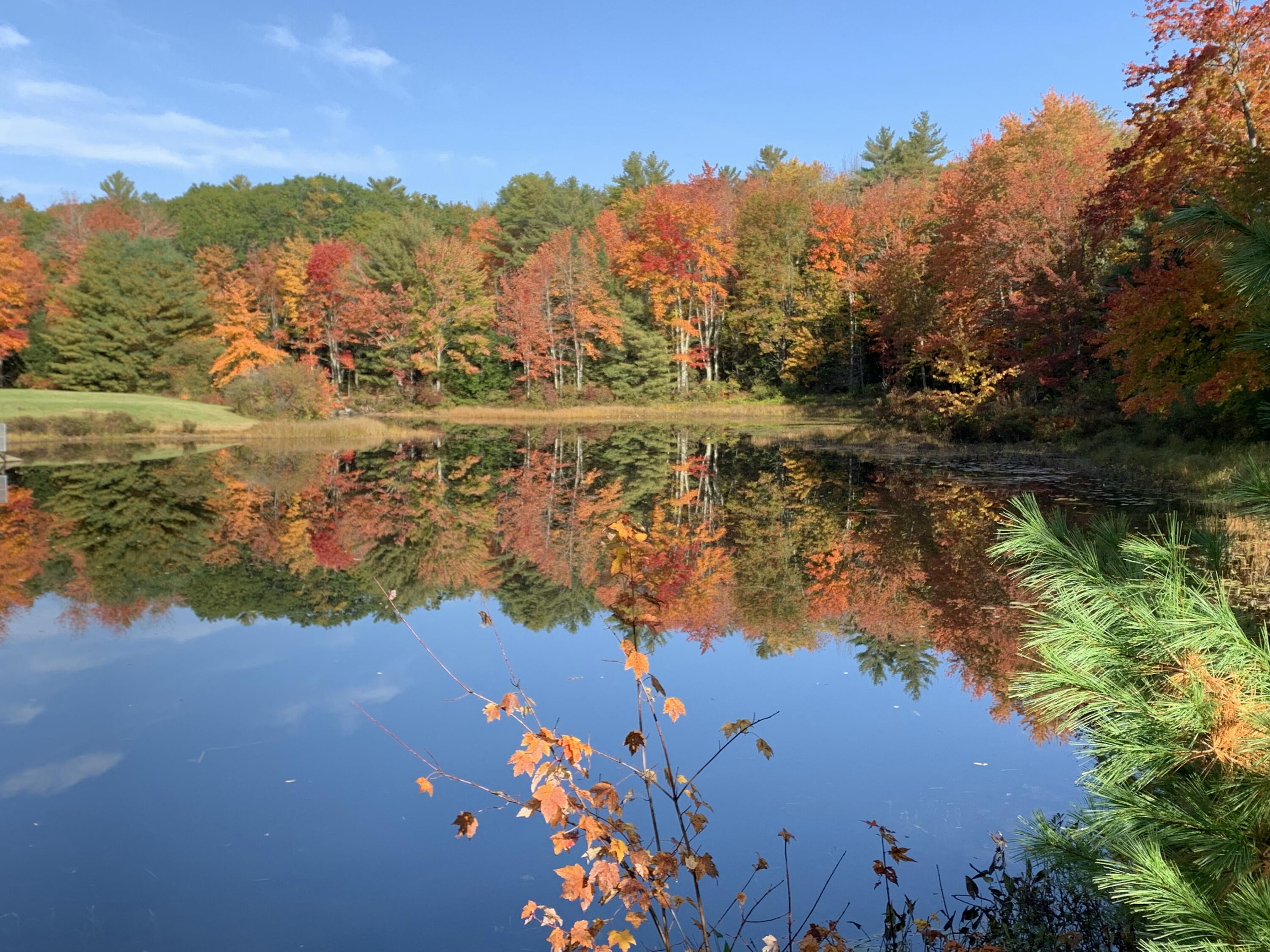 937 Duck Pond Road Westbrook, ME 04092 - Photo 32 of 32 IMG_3324