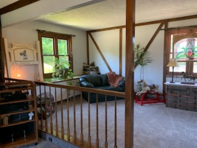 10007 Iron Bridge Road Roanoke, IN 46783 - Photo 12 of 23