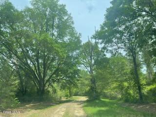 Lot 54 Alder Road Westville, FL 32464 - Photo 2 of 10