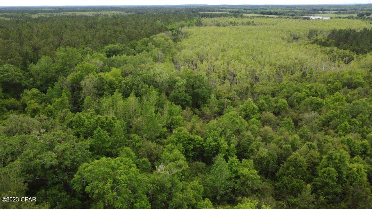 Lot 54 Alder Road Westville, FL 32464 - Photo 3 of 10