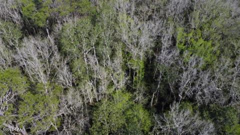 Lot 54 Alder Road Westville, FL 32464 - Photo 5 of 10